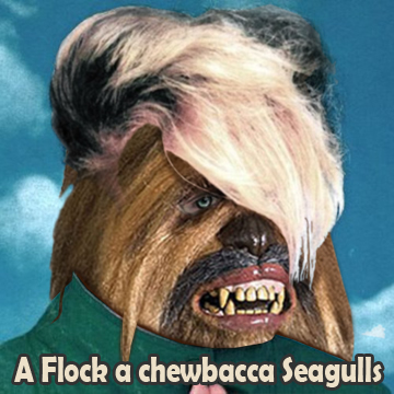 A flocka Chewbacca