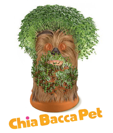 ChiaBacca Pet